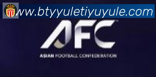 B体育官网合作伙伴